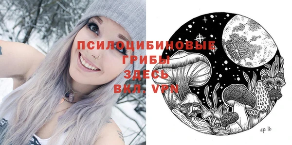 MDMA Premium VHQ Краснослободск