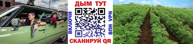 Бошки Шишки Amnesia  Саратов 